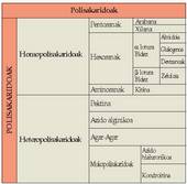 1. Koadroa: Polisakaridoen sailkapena.<br>